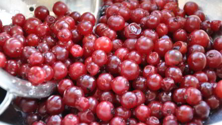 Рецепт морса клюквенно-смородиновый