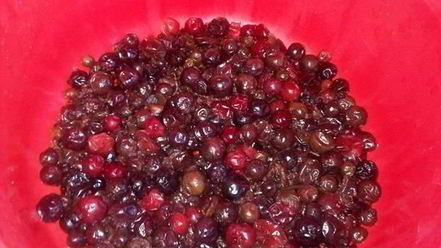 Рецепт морса витаминного