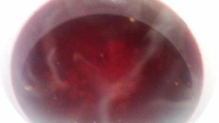 Рецепт морса витаминного