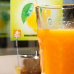 Рецепт Облепихового морса