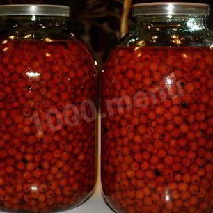 Рецепт Черноплодной наливки из рябины