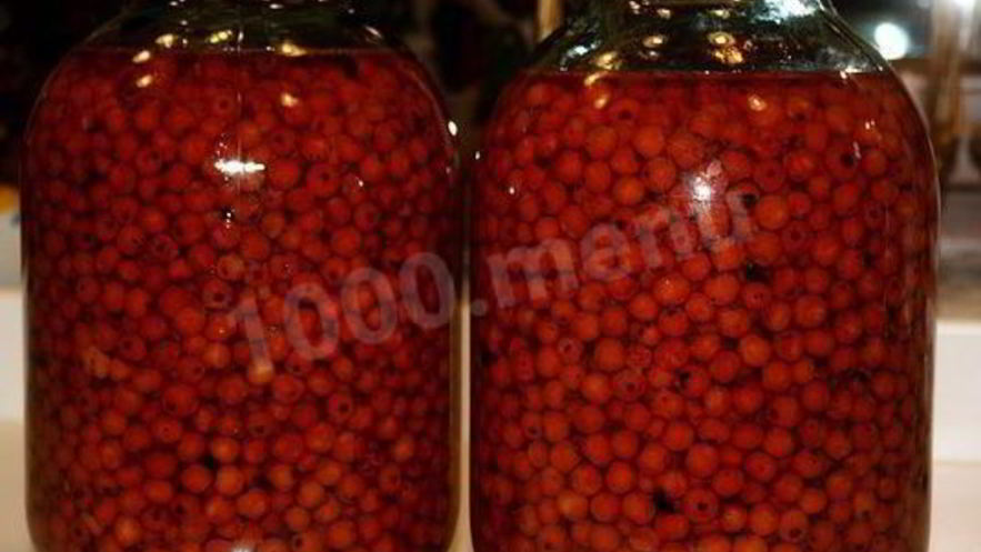 Рецепт черноплодной наливки из рябины