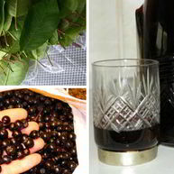 Рецепт Наливки 100 листьев