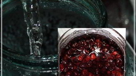 Рецепт наливки черносмородиновой