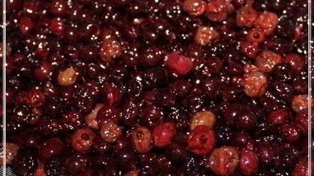 Рецепт наливки черносмородиновой