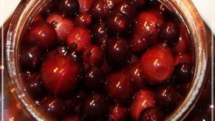 Рецепт наливки черносмородиновой