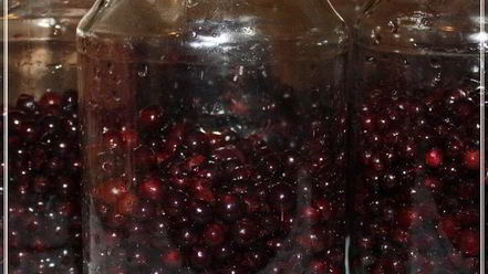 Рецепт наливки черносмородиновой