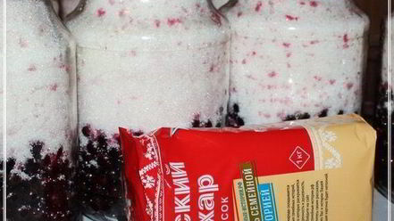 Рецепт наливки черносмородиновой