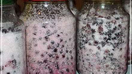 Рецепт наливки черносмородиновой