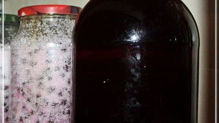 Рецепт наливки черносмородиновой