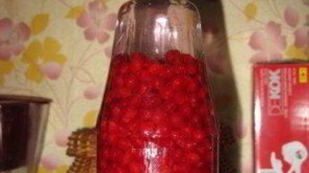 Рецепт наливки из калины