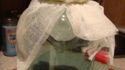 Рецепт наливки из клюквы