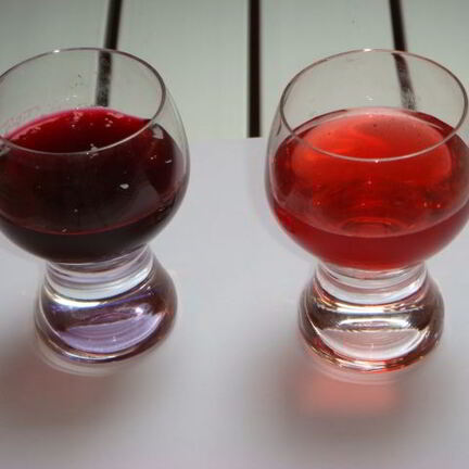 Рецепт Наливки из крыжовника и черной смородины