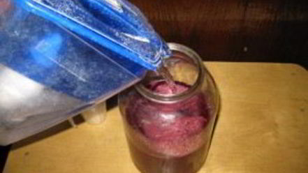 Рецепт наливки из крыжовника и черной смородины