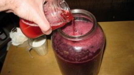 Рецепт наливки из крыжовника и черной смородины