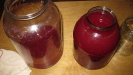 Рецепт наливки из крыжовника и черной смородины