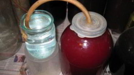 Рецепт наливки из крыжовника и черной смородины