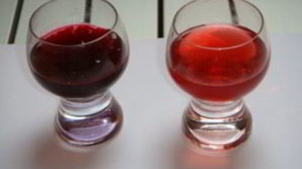 Рецепт наливки из крыжовника и черной смородины