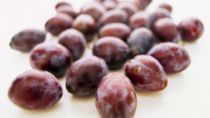 Рецепт наливки из слив