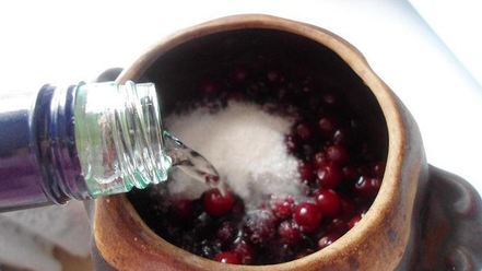 Рецепт наливки-скороспелки