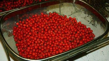 Рецепт рябиновой наливки