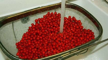 Рецепт рябиновой наливки