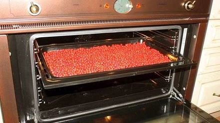 Рецепт рябиновой наливки