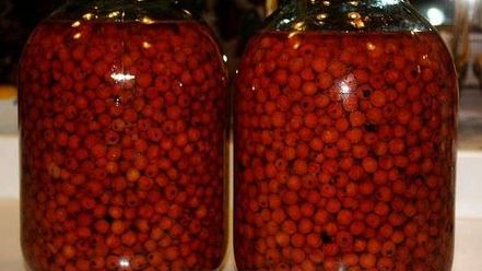 Рецепт рябиновой наливки