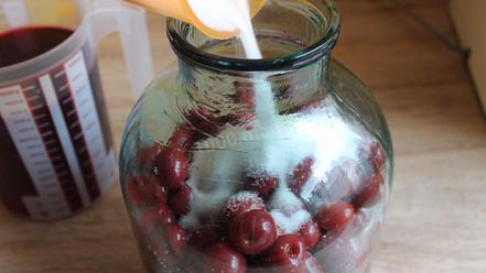 Рецепт вишневой наливки на водке