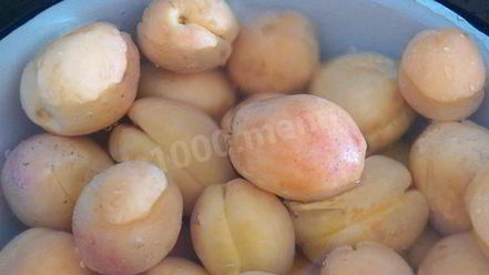 Рецепт абрикосовой настойки