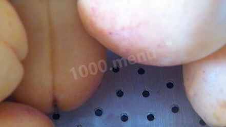 Рецепт абрикосовой настойки