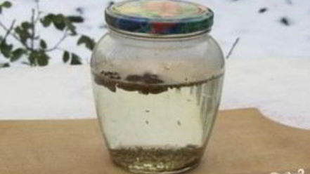 Рецепт анисовой настойки на самогоне