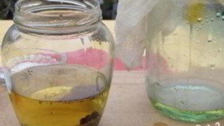 Рецепт анисовой настойки на самогоне