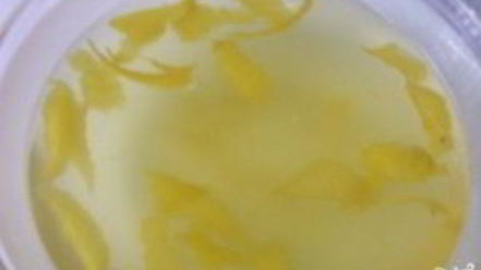 Рецепт лимонной настойки на спирту