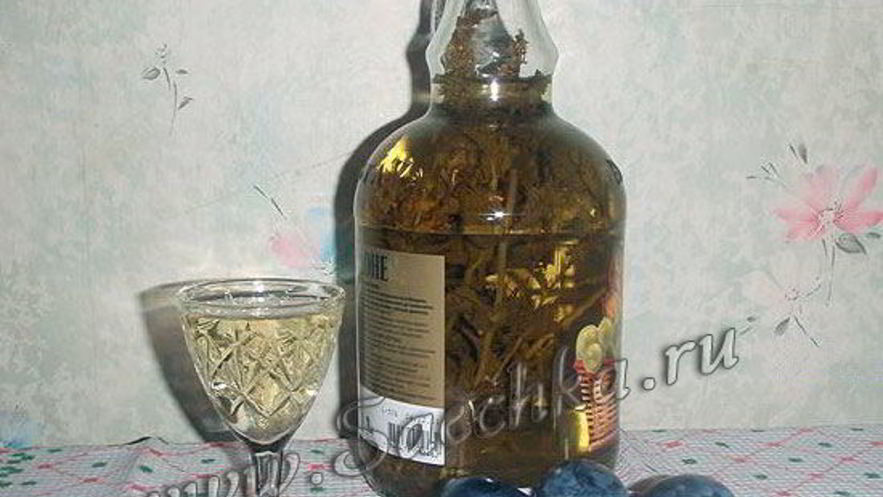 Рецепт мятной настойки