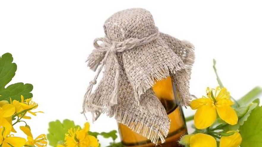 Рецепт настойки чистотела на спирту