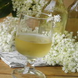 Рецепт Настойки из бузины