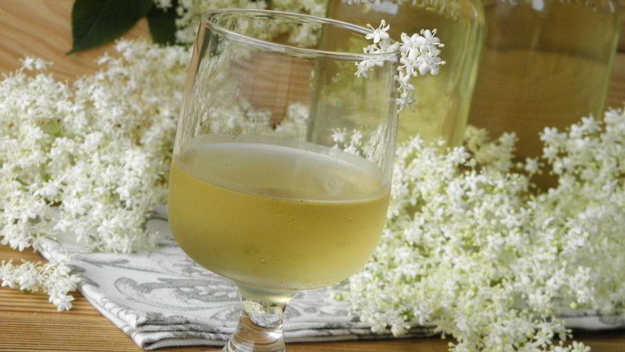 Рецепт настойки из бузины