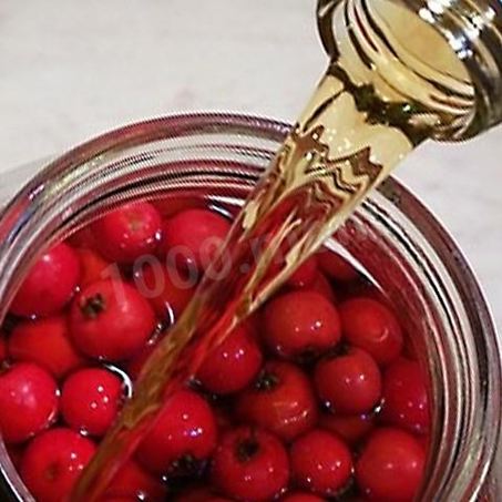 Рецепт Настойки из ирги на водке