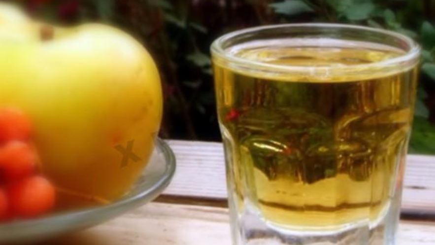 Рецепт настойки из облепихи