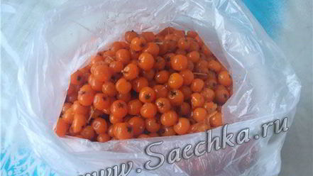 Рецепт настойки из рябины