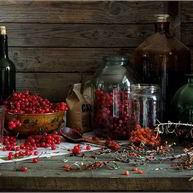 Рецепт Настойки из смородины