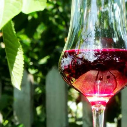 Рецепт Настойки из вишни на спирту Домашняя