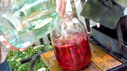 Рецепт настойки из вишни на спирту домашняя