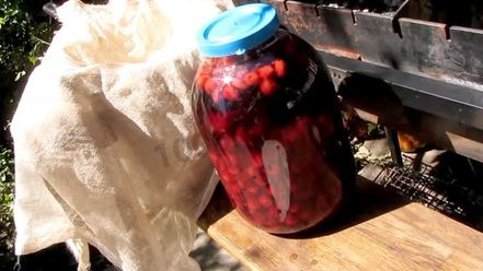 Рецепт настойки из вишни на спирту домашняя