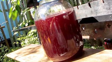 Рецепт настойки из вишни на спирту домашняя