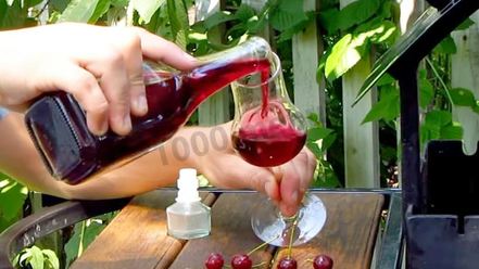 Рецепт настойки из вишни на спирту домашняя