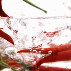 Рецепт Настойки из водки с красным перцем