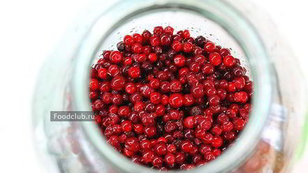 Рецепт настойки на бруснике