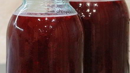 Рецепт настойки на бруснике